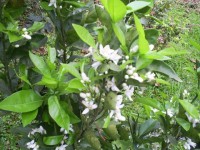 /album/galeria-de-fotos/pqaaae9nr7fgohczqub9azpxd1jxe1dskns3462-q2vm3f6np9-cj-t-lbbfxw8enogelk9cgett-cv0i2mhrgnjkzgam1t1ujhkmrwzhewlcahm0nlcwmvtpq81-jpg/